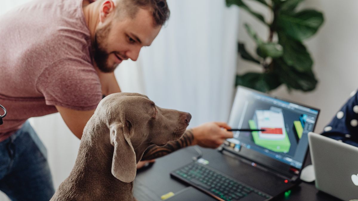 Quels risques les animaux peuvent-ils représenter dans un environnement professionnel ?
